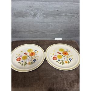 Vintage Montgomery Wards Fiesta Stoneware Dish Dinner Plate 10.5" Flowers Japan